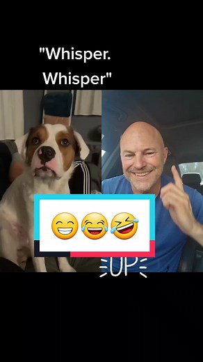 #duet with @eye_am_griffin This is Fantastic! #FlexEveryAngle #fyp #f #foryou #whisper #pets #dog #4up #adorable #petsoftiktok #goodboy #cute #foryoupage #4upage #foru