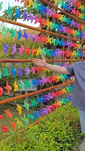 Alex Hardeman on Reels