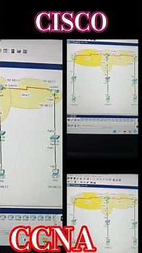 Tu Tham Le Vo Damn vibe + OSPF setup explained with live ping test! Smooth routing Must-watch #cisco