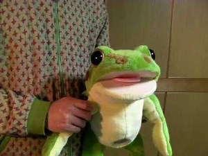 Chrono Trigger Frog's Theme Played on Frog Instruments