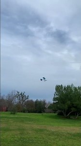 Scale free flight model of the Quicksilver Ultralight