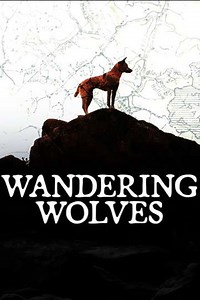 Wandering Wolves (2017) - TV Show
