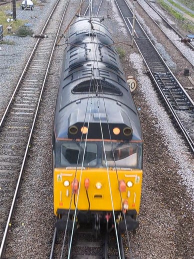 Class 50 50008
