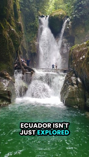 South America 360° Journeys on Instagram: "Ecuador isn’t just explored… it’s savored. A country where every region brings its own flavor, from fresh coastal seafood, to ancestral Andean recipes, and the deep tastes of the Amazon. Here, food tells stories, connects cultures, and awakens the senses. ✈️ Your next journey starts here. Travel Ecuador with us. ✨ It all starts here. 🌐 Visit our website."