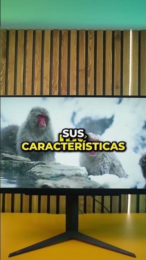 LCD technology explained in displays 🖥️ #gamerdictionary