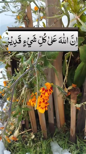 1.1M views · 74K reactions | Beauty of nature #view #beauty ❤ | Explore Mountain | Facebook