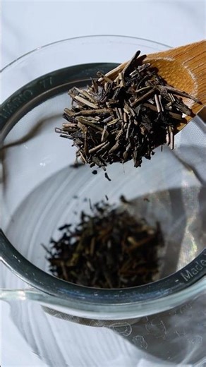 【Sugimoto Tea】Making hot hojicha in a kyusu
