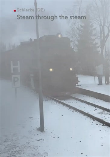 Steam through steam - Harz Railway #trains #trainspotting