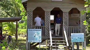 Crooked Tree Wildlife Sanctuary Meet our staff at the Crooked Tree Wildlife Sanctuary.