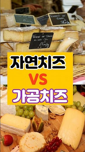 (똑똑해지는 1분 건강상식💪)자연치즈vs가공치즈 무엇이 다른가요!?
