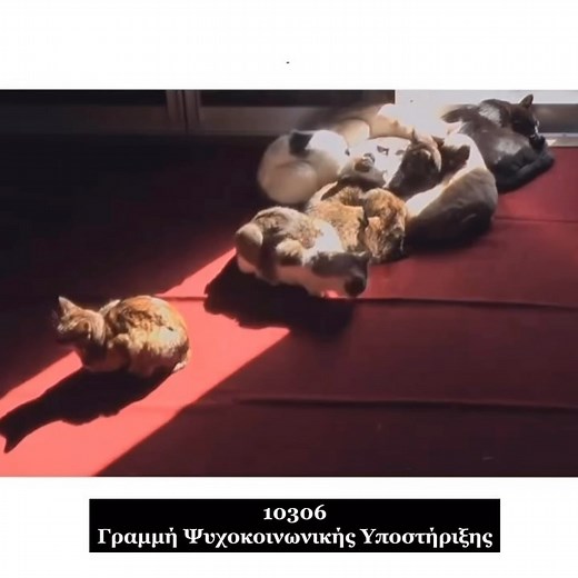 Μοναδικοί Άνθρωποι on Instagram: "Παγκόσμια Ημέρα Ψυχικής Υγείας: Σε ολόκληρο τον κόσμο, περισσότεροι από 1 δισεκατομμύριο άνθρωποι ζουν με κάποια ψυχική ασθένεια. Η ψυχική υγεία είναι τόσο σημαντική όσο η σωματική, πολλές φορές ίσως και περισσότερο! Τα τραύματα της ψυχής δεν είναι ευδιάκριτα όπως ένα σπασμένο χέρι ή πόδι! Υπάρχουν όμως άνθρωποι εξαιρετικά ικανοί να σε βοηθήσουν, αρκεί να τους αναζητήσεις! Πάρε τον χρόνο που χρειάζεσαι κι αναζήτησε το φως που θα σου αλλάξει τη ζωή! #monadikoiant
