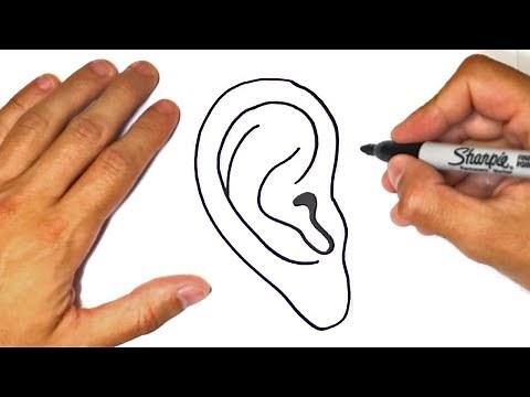 How to draw an Ear Step by Step | Ear Drawing Lesson