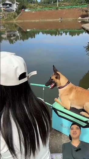 Chó đi câu cá #cauca #fishing #funny #hoatratravel #shortvideo