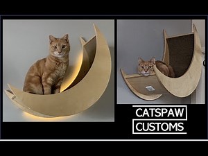 Building Cat Furniture