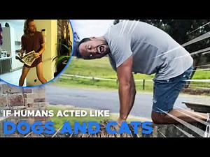 If Humans Acted Like Dogs and Cats