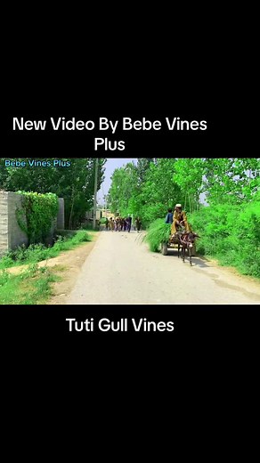 Hilarious Tuti Gull Vines - Bebe Vines Plus New Video