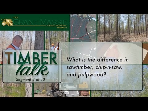 Timber Talk: What is the difference in sawtimber, chip-n-saw, and pulpwood? (2 of 10)