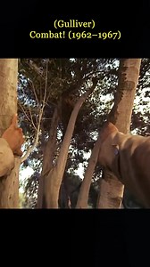 Classic War Movies | WAR MOVIE |Join us: https://www.facebook.com/groups/2068347963523580 #actionmovies #tank #fortress #Warmovies #Royal #Marines #USMarine #MarineCorps #USSNimitz #USNavy #fighter #adventure #Corps #navy #sailor #USMarine #navymives #USAFF #aircraft #Warbird #USSHornet #military #WW2 #WWI #aviationlovers #war #aviationdaily #spitfire #jet #fighterjets #Marine #pilot #uk #us #military #history #Western #oldmovie #old #TVSeries #Series . | Top War Tv Show