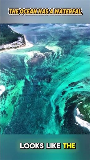 “The Underwater Waterfall Explained” #oceanfacts #science #mindblowing #shorts #earthmysteries