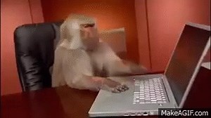 [ Funny Animals ] IT monkey work with computer on Make a GIF