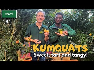 Sweet, Tart & Tasty! Kumquat Tasting with Byron and Kaleb