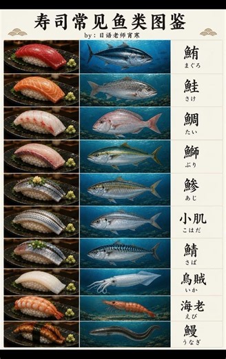 🍣 🦐🐙 🦑 🐟 🐠 The different types of sushi