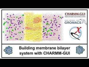 Building membrane bilayer system with CHARMM-GUI