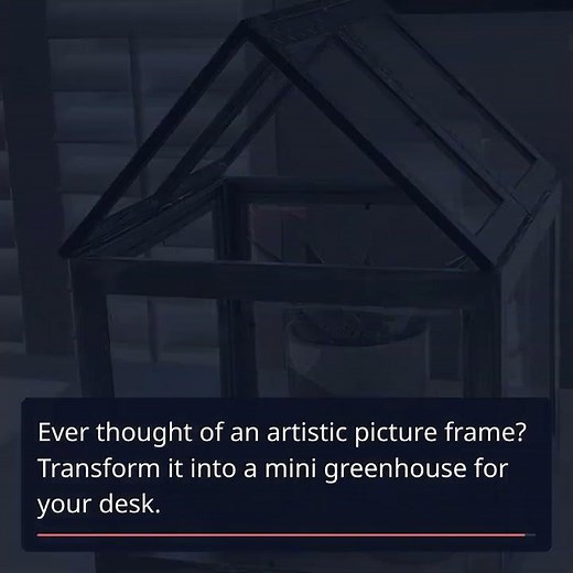 Transform Your Home: 9 DIY Indoor Greenhouses