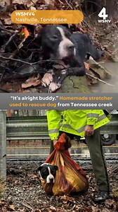 "It's alright buddy." A dog that couldn't move its back legs was rescued from a Tennessee creek using a homemade stretcher. #dog #rescue #hero #tennessee | WSMV 4, Nashville