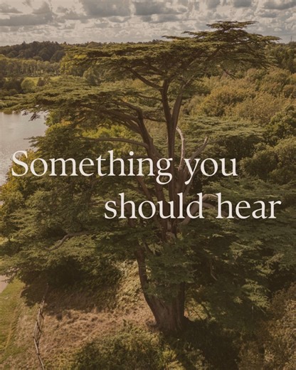 The Great Cedar (Cedrus libani) at Painshill is thought to be the largest multi-stemmed tree of its kind in Europe🌳 Originating from the mountainous regions of Syria, Turkey and Lebanon, the Great Cedar was planted at Painshill by Charles Hamilton to draw the eye of the visitor and create a dramatic moment in a view. In 2022, this impressive tree was chosen as part of a nationwide network of 70 Ancient Trees that were dedicated to the late Queen in celebration of her Platinum Jubilee. Visit Pai