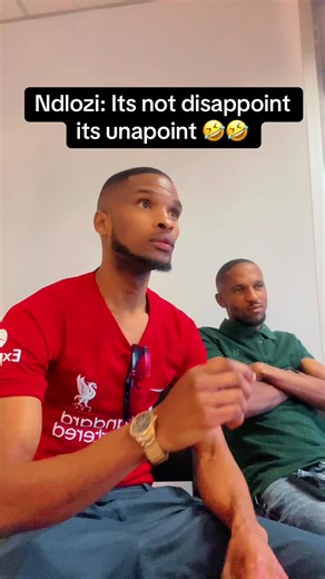 Ndlozi: Discussion on Parliament's Unpointing Moment