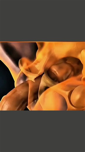 #FoleyKatheter #Blasenkatheter #Harnkatheterisierung #Urologie #MenschlicheAnatomie