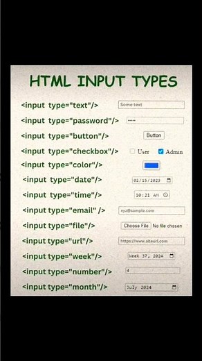 Learn HTML Input Types 🔥 | HTML Forms Explained for Beginners 😱