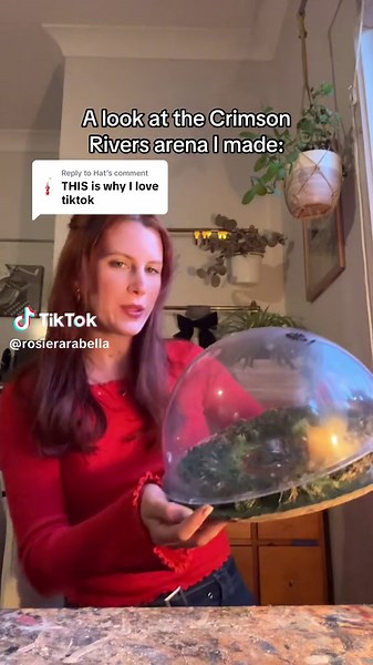 Exploring the Crimson Rivers Arena in Minecraft