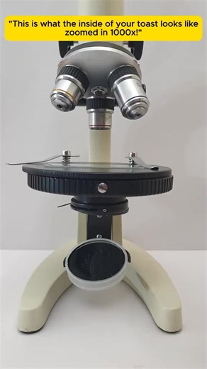 121K views · 1K reactions | #microscopechallenge #microscope #experiment | Tiny.world.lens | Facebook
