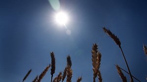 Dec 7: Hacking photosynthesis — how we'll improve on Mother Nature and more...