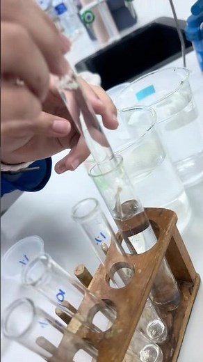 9700 ON2021/34 Semi-quantitative visking tube glucose diffusion #alevel #biology #practical #shorts