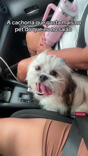 Os vídeos de Kamilly Negrini (@kamilly_kc) com som original - ShihTzu Belos 🐶