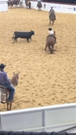 ✨ Selling “Rhinestonez” ✨ This 4-year-old Metallic Cat mare out of the legendary Button Down Supercat (LTE: $298,000, PE: $900k) is as sweet as she is stunning. Affectionately known as Kimber, she’s competitive at any level, has the mind to carry even the littlest riders, and the talent to shine in the show pen. Not only is she a proven show horse prospect, but she also holds incredible value as a future broodmare. Don’t miss the opportunity to own a full sister to Hall of Famer and NCHA Open Fu