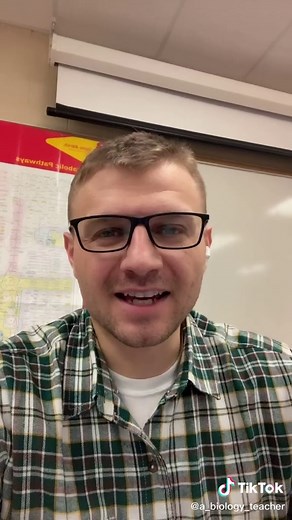 Understanding Blood Types and Punnett Squares in Genetics