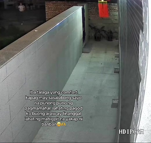 Cute Small Dogs: Heartwarming Moments with Furbabies