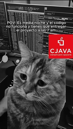 ¿Nos declaramos locos o que? ¿Ya te inscribiste en nuestro curso de Java Programmer? ULTIMAS VACANTES!! La carrera Java: Programmer - Java Certified Java 17 y 21 Programación Orientada a Objetos Programación funcional Programación modular Programación reactiva IntelliJ IA Copilot y Maven Jakarta EE (servicios SOAP y REST) Glassfish y Tomcat . Developer - Full Stack BackEnd . Hibernate, Spring boot, Spring Data, MongoDB, Spring WebFlux. FrontEnd . Angular y React Expert - Devops Arquitectura de m