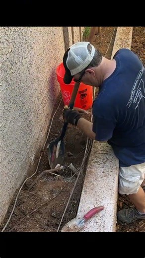 Remove Roots | DIY Tree Removal