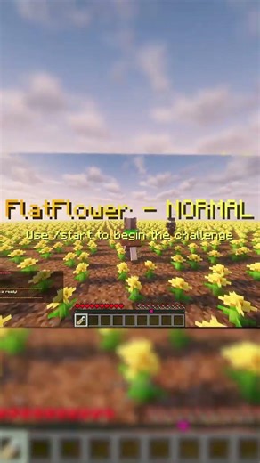 challenges so wie BastiGHG auf mc-challenges.de