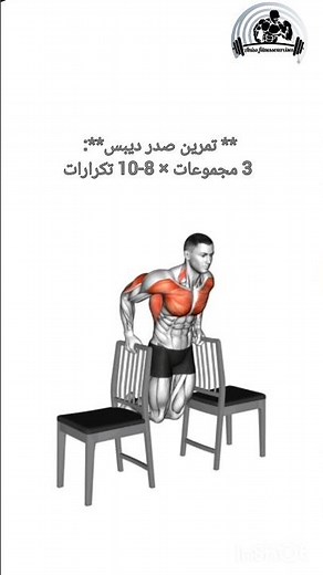 جدول تدريب للمبتدئين في المنزل| Beginner Home Workout Routine