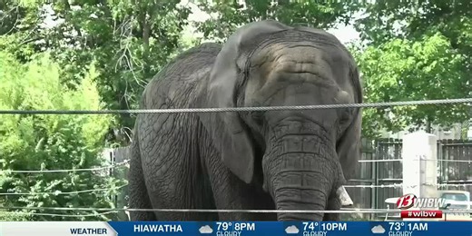 Topeka Zoo celebrated World Elephant Day