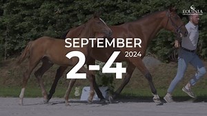 [VENTES AUX ENCHÈRES] 🔎 Haras des Rosiers, une référence en matière de chevaux de sport de haute qualité, vous présente ses foals crème de la crème...💥 Vente aux enchères des poulains du Haras des Rosiers du 2 septembre au 4 septembre. Nous avons sélectionné pour vous des poulains élevés par le Haras des Rosiers, issus de leurs meilleures lignées maternelles, ainsi que des poulains provenant d'éleveurs utilisant des étalons du Haras des Rosiers ! Produits de Coldplay Des Rosiers Z, Cashpaid J&