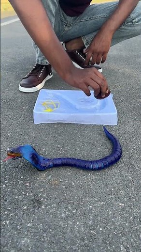 Remote Control Rattle Snake Unboxing