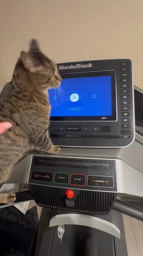 2.0 is going to kill me turning off the Nordic… | Brent Hall