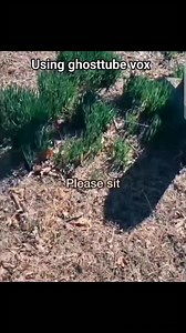 Communication at abandoned graveyard ❤️ #paranormal #Cemetery #spirits #Communication #graveyard #haunted | The Paranormal Couple